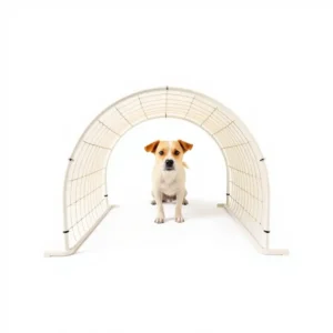 TrailPaws Open Tunnel Dog Agility Equipment 3m, professional studio product photo on a white background.