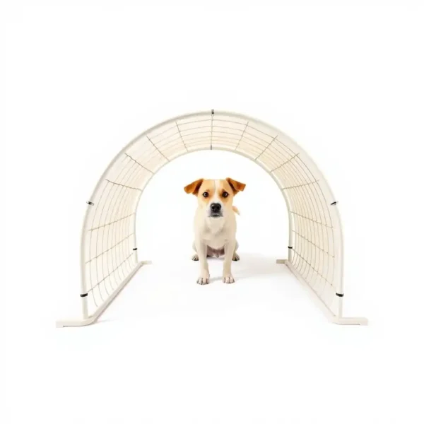 TrailPaws Open Tunnel Dog Agility Equipment 3m, professional studio product photo on a white background.