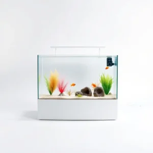 BlueCurrent 35L Glass Aquarium Desktop, professional studio product photo on a white background.