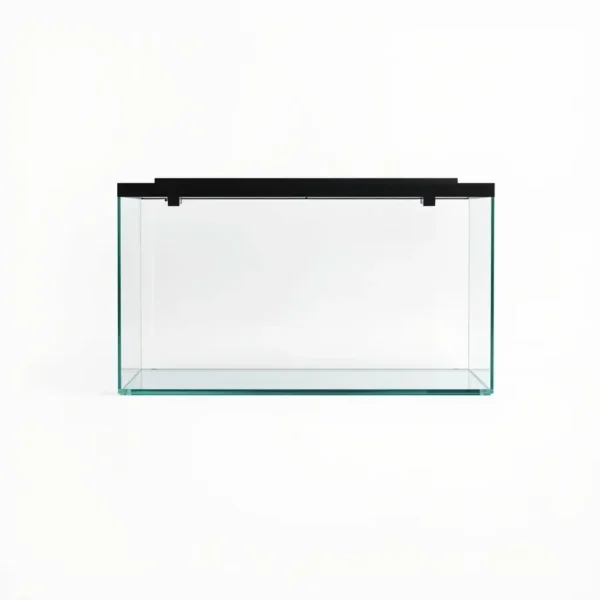 BlueCurrent 60L Glass Aquarium Standard, professional studio product photo on a white background.
