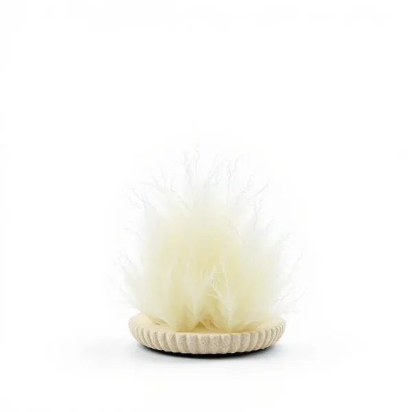 AquaMorrow Silk Plant Set Aquarium Decoration 25cm, professional studio product photo on a white background.