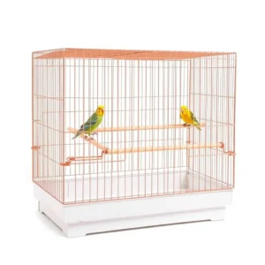 FeatherFern Flight Bird Cage 60 × 40 × 70cm, professional studio product photo on a white background.