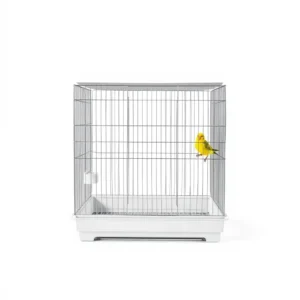Perch & Petal Open-Top Bird Cage 75 × 45 × 90cm, professional studio product photo on a white background.