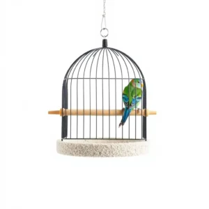 Skyseed Pumice Bird Perch Medium, professional studio product photo on a white background.