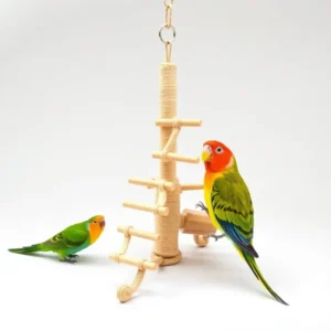 Chirrup Cove Bell Ladder Bird Toy Medium, professional studio product photo on a white background.