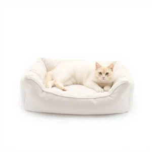 CloudTail Cushion Pet Bed 60 × 45cm, professional studio product photo on a white background.