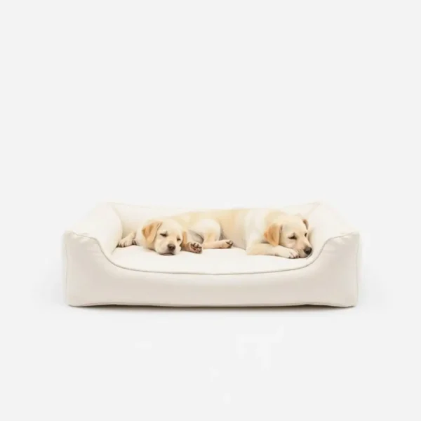 HearthPaws Orthopaedic Foam Pet Bed 75 × 55cm, professional studio product photo on a white background.