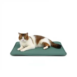 CloudTail Cooling Gel Pet Resting Mat 60 × 45cm, professional studio product photo on a white background.