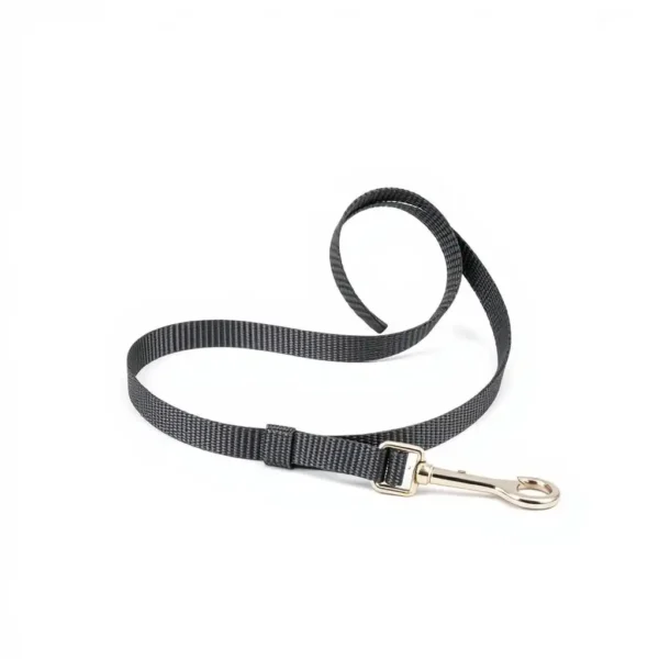 NimbleNest Reflective Webbing Dog Leash 1.8m, professional studio product photo on a white background.