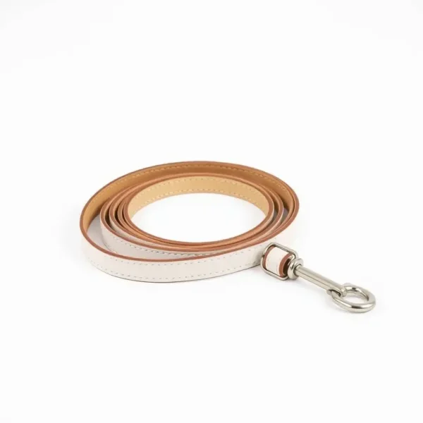 TrailPaws Vegan Leather Dog Leash 1.2m, professional studio product photo on a white background.