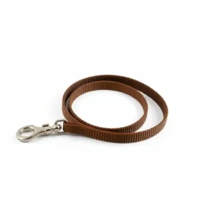 TrailPaws Waterproof Coated Webbing Dog Leash 2m, professional studio product photo on a white background.
