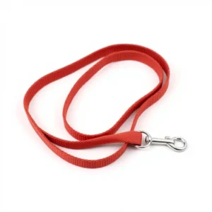 TinkerTail Cotton Webbing Dog Training Lead 3m, professional studio product photo on a white background.