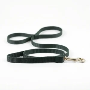 NimbleNest Rubber-Grip Webbing Dog Training Lead 20m, professional studio product photo on a white background.