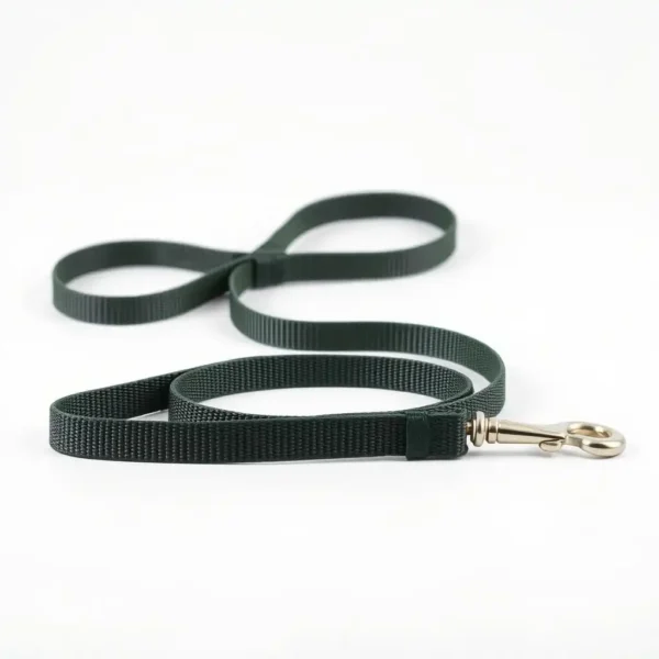 NimbleNest Rubber-Grip Webbing Dog Training Lead 20m, professional studio product photo on a white background.
