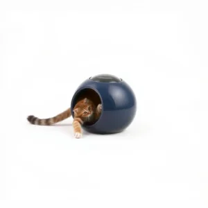 Playfern Motion Sensor Interactive Pet Toy Medium, professional studio product photo on a white background.