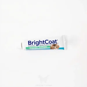 BrightCoat Enzymatic Toothpaste Pet Dental Care 70g, professional studio product photo on a white background.