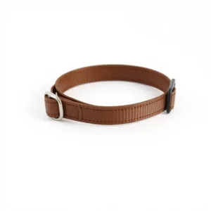 PawKind Collar Flea & Tick Product 1 piece, professional studio product photo on a white background.