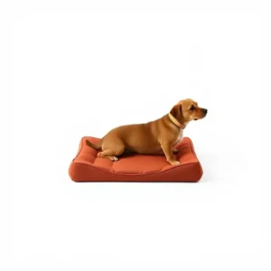 FreshNest Standard Pet Training Pad 45 × 60cm, professional studio product photo on a white background.