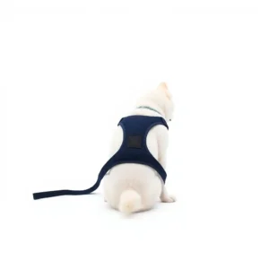 NimbleNest Elastic Tether Dog Seat-Belt Attachment 50–80cm, professional studio product photo on a white background.