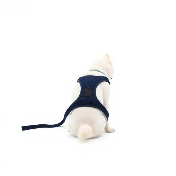NimbleNest Elastic Tether Dog Seat-Belt Attachment 50–80cm, professional studio product photo on a white background.