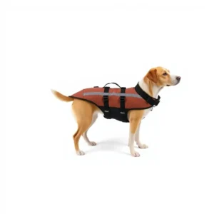 TrailPaws High-Visibility Dog Life Jacket 35–45cm, professional studio product photo on a white background.