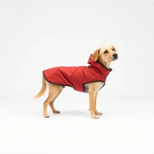 TrailPaws PU-Coated Polyester Dog Raincoat S, professional studio product photo on a white background.