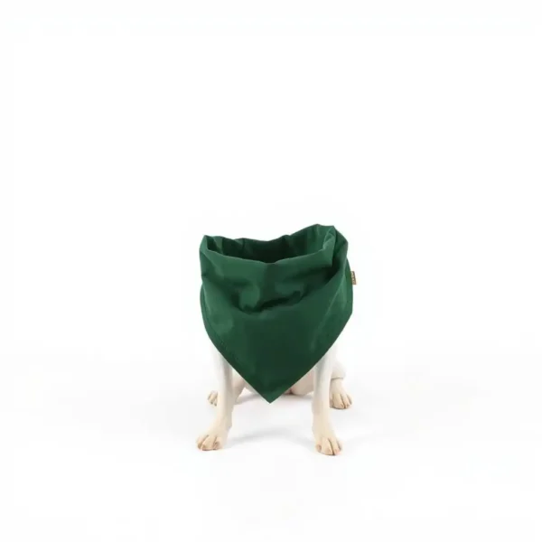 TrailPaws Cotton Pet Bandana 20–30cm, professional studio product photo on a white background.