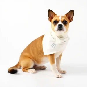 Harbour Hound Soft Jersey Pet Bandana 18–28cm, professional studio product photo on a white background.